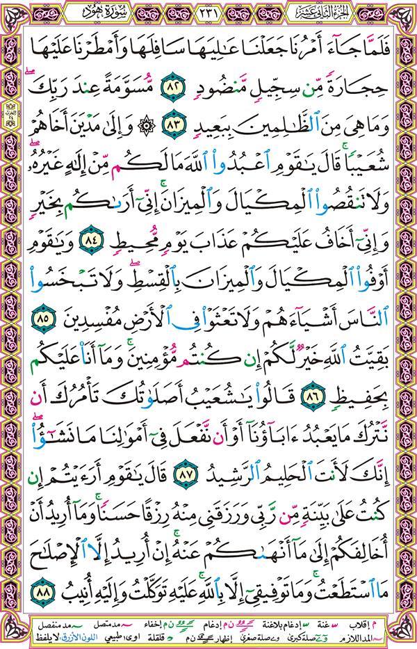 صفحة قرآن 231