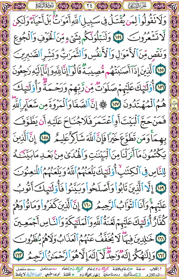 صفحة قرآن 24