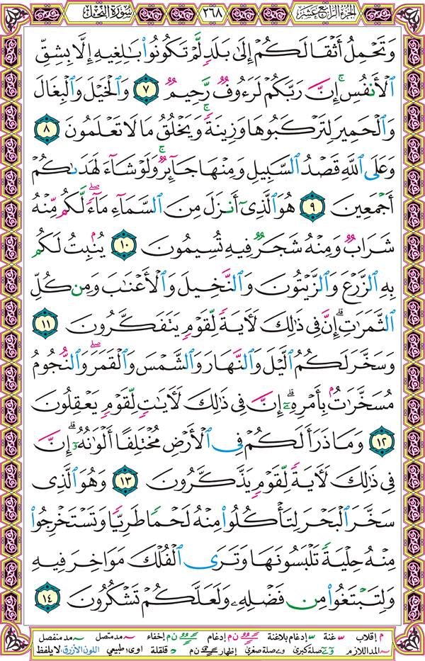 صفحة قرآن 268