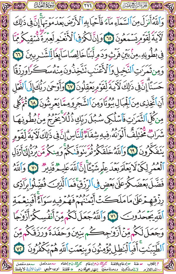 صفحة قرآن 274