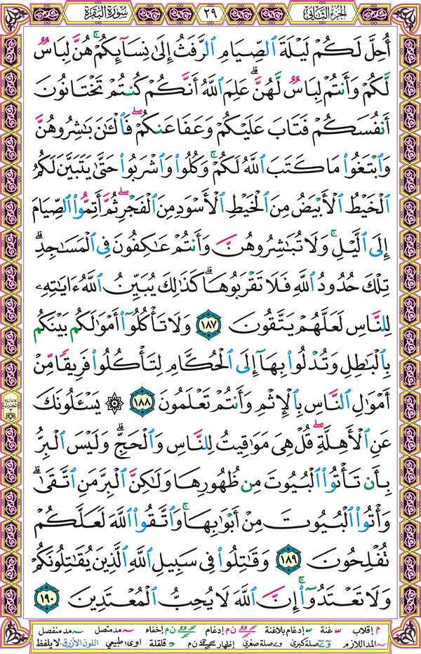 صفحة قرآن 29