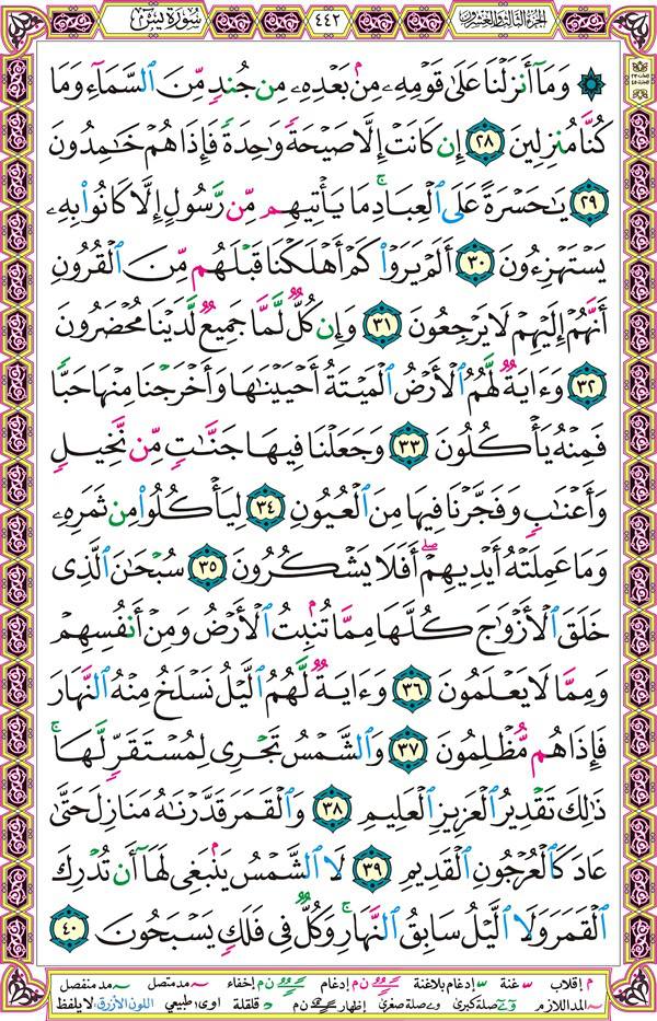 صفحة قرآن 442