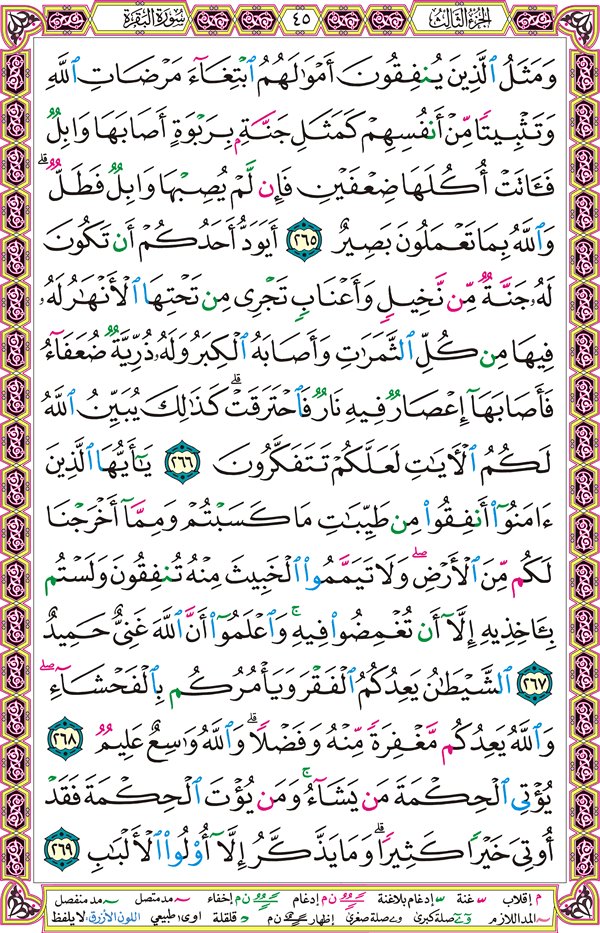 صفحة قرآن 45