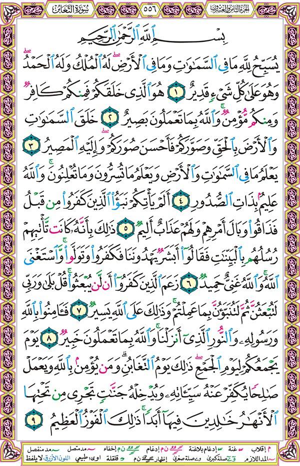 صفحة قرآن 556