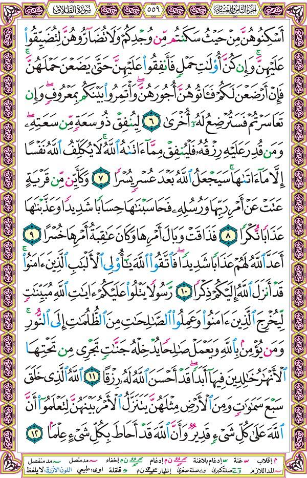 صفحة قرآن 559