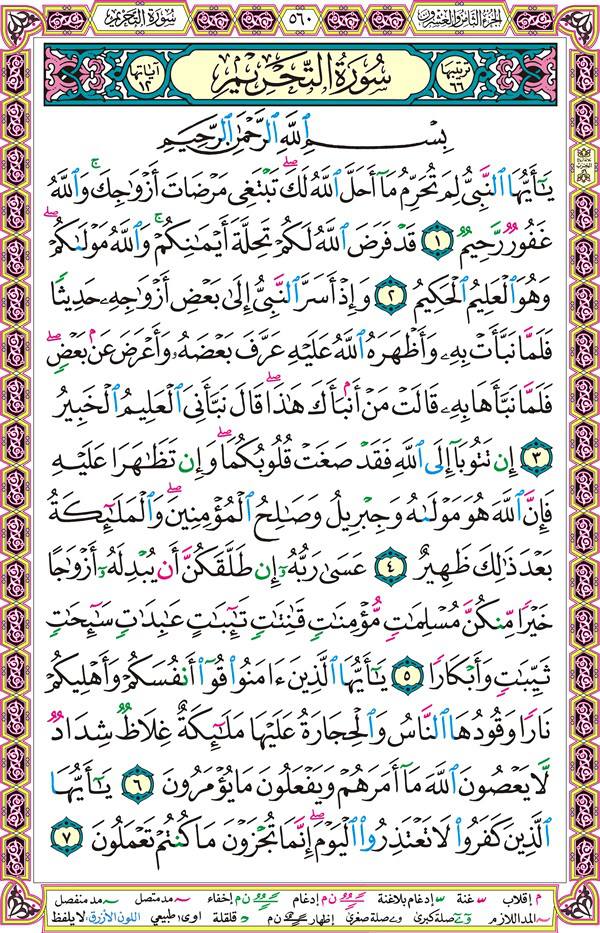 صفحة قرآن 560