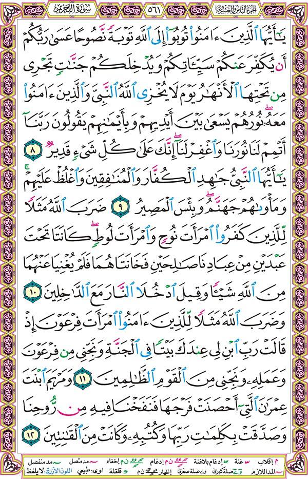 صفحة قرآن 561